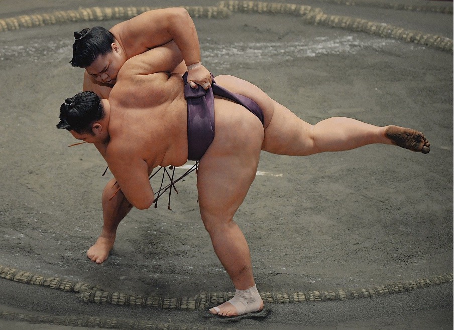 ブックメーカーで相撲にベットできる？勝率を上げるために必要な知識も紹介