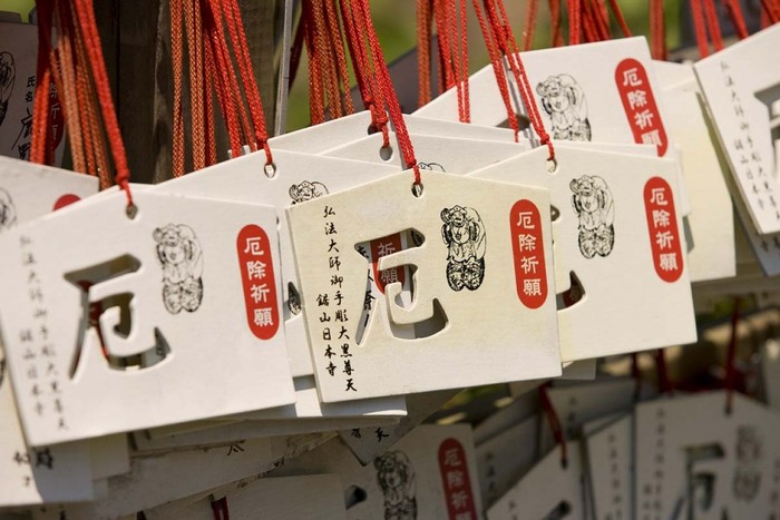 厄年にやってはいけない事とは？本当の意味ややると良いことも紹介！