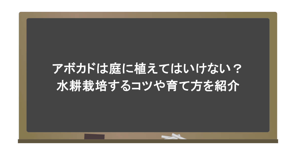 アボカドは庭に植えてはいけない？水耕栽培するコツや育て方を紹介